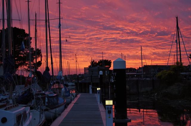 36064327_1785735324796678_3283882722656780288_n