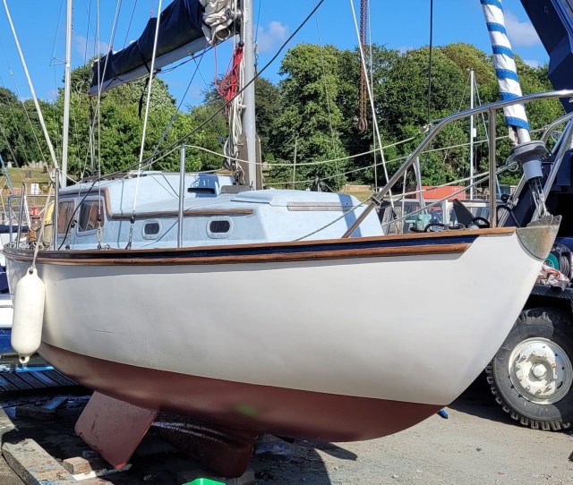 358095329_2436173336562031_1055587345496646105_n